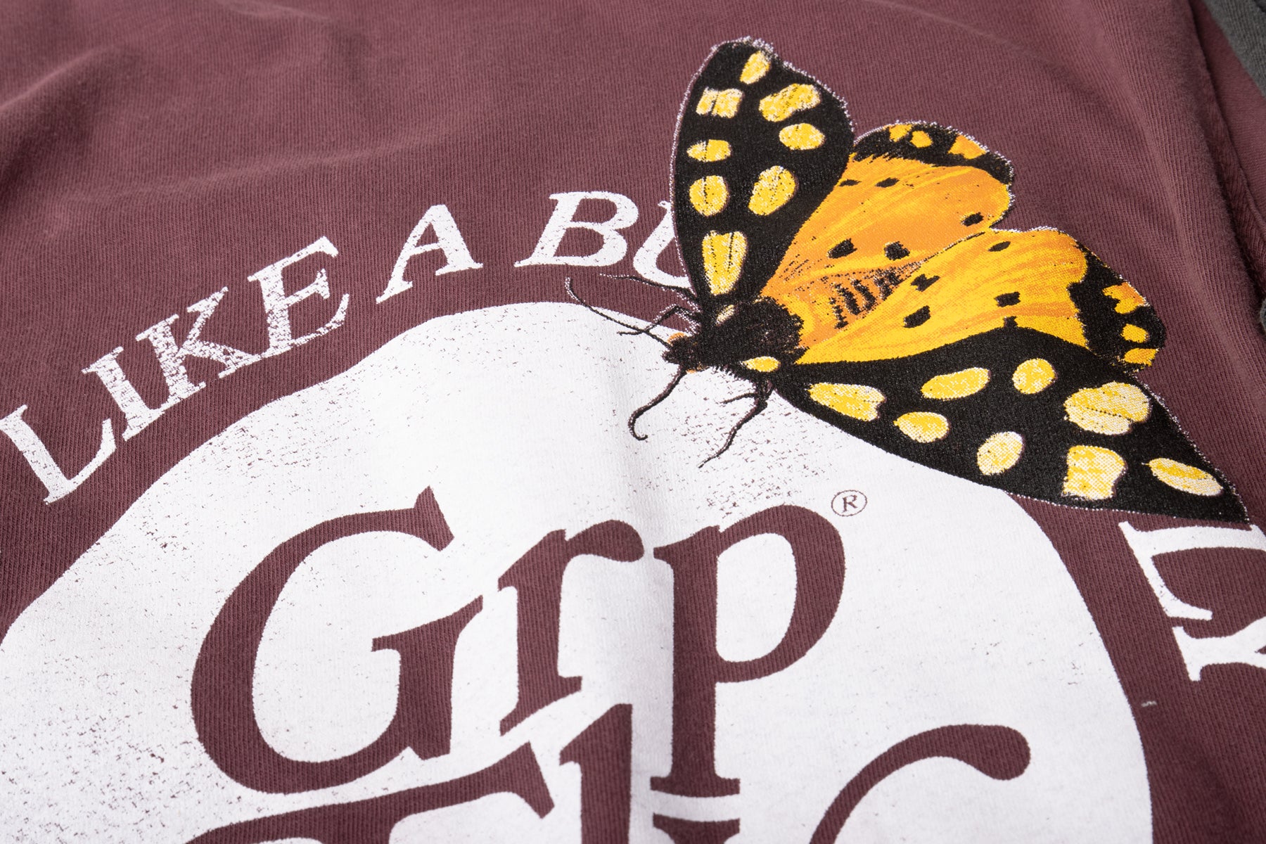 FLOAT & STING COLLECTION
